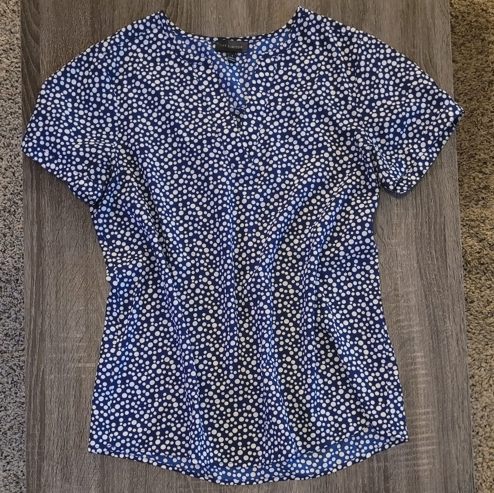 The Limited Polka Dot Blouse